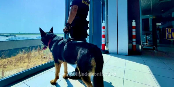 Captură țigări pe Aeroportul Henri  Coadă   Foto Poliția de Frontieră(5) jpg