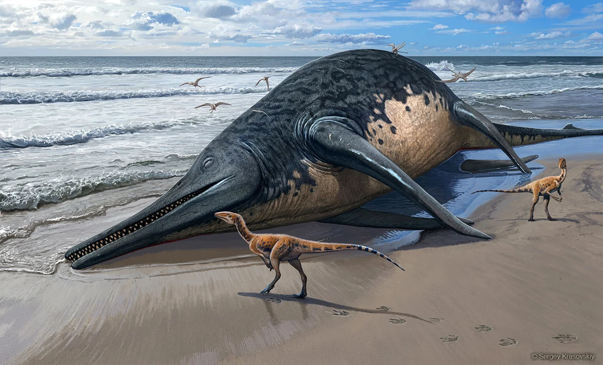 Ihtiotitanul era enorm. Reprezentare grafica. FOTO Facebook Dr Dean Lomax - Palaeontologist