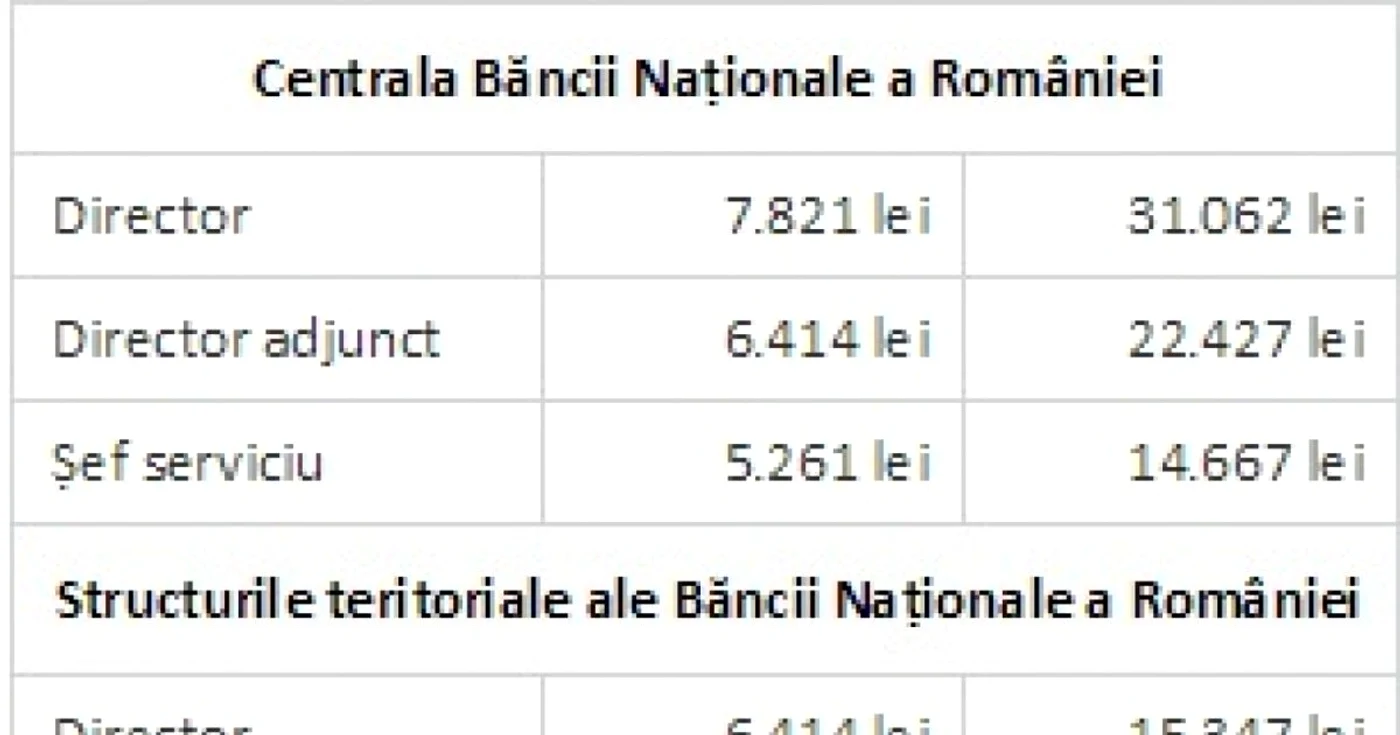 salarii bnr