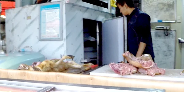 abator piata de carne caine in Coreea de Sud profimedia 0307617375 jpg