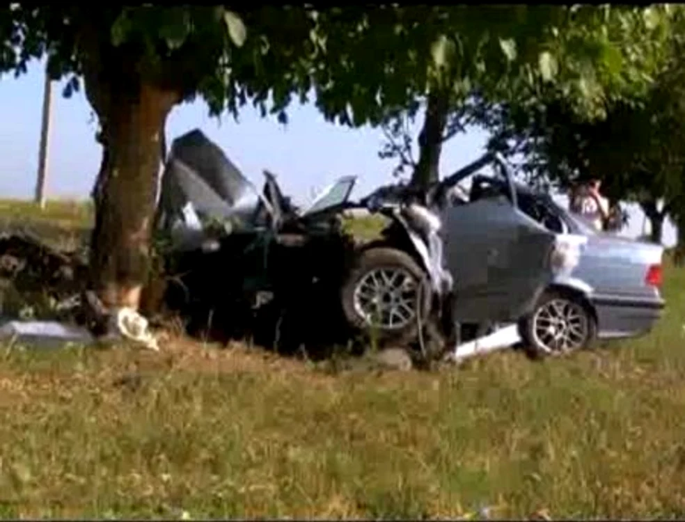 
    Maşina s-a izbit violent de un copac   