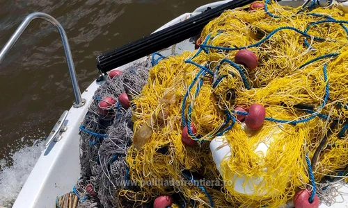 Acțiune a Gărzii de Coastă pentru combaterea braconajului piscicol pe fluviul Dunărea foto politia de frontiera 2 jpg