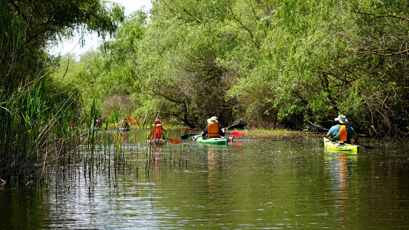 Deși numărul de turiști a crescut pe litoral, Delta Dunării nu a beneficiat de aceeași tendință