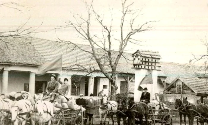 Marea colectivizare în Prahova: revolte şi ţărani arestaţi jpeg