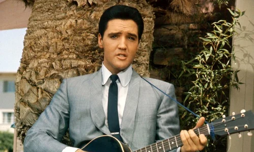 elvis1 1 jpeg