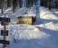 sarmizegetusa regia foto adevarul daniel guta