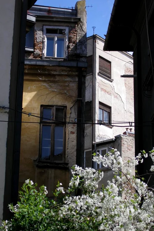O cucerire fără luptă La Mizil jpeg