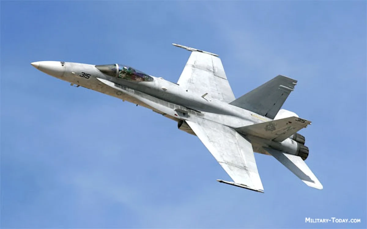 Boeing F/A-18. FOTO military-today.com