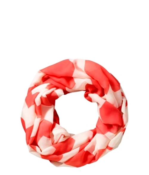 8c3c02aec17e923c7b839b099c345974 jpg jpeg