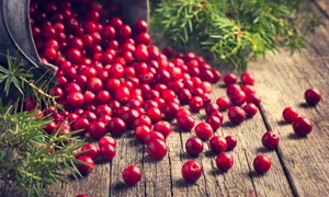 shutterstock 316608350 0 jpeg