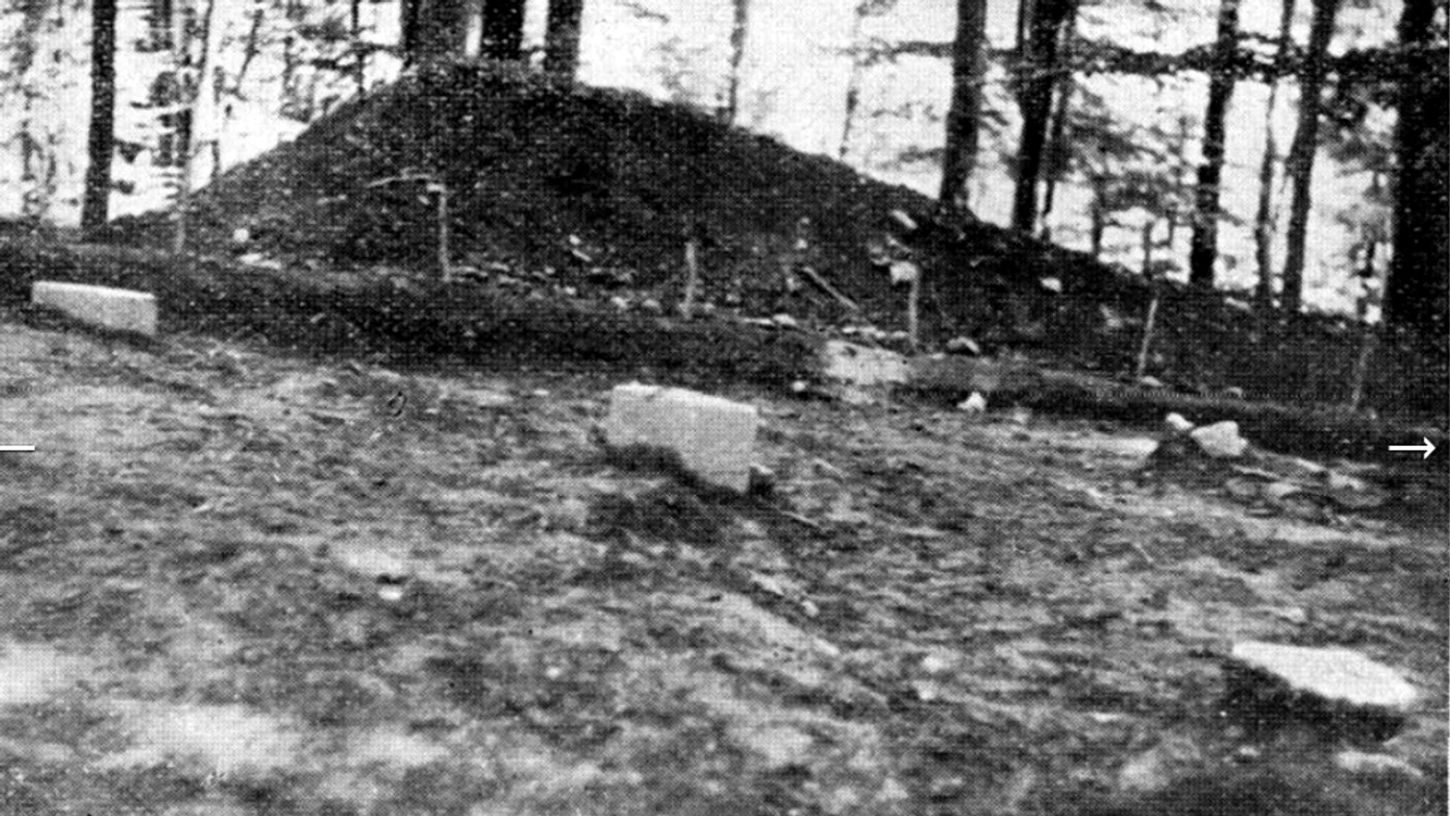 Pustiosu, în raportul de cercetare întocmit de Constantin Daicoviciu în 1957. Foto: Adevărul