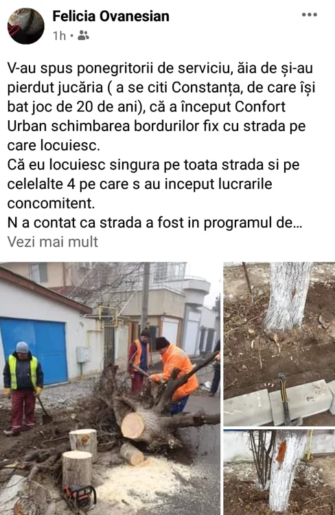 Postare Felicia ovanesian copaci taiati Constanta