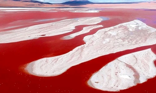 17 lacuri ok jpg jpeg