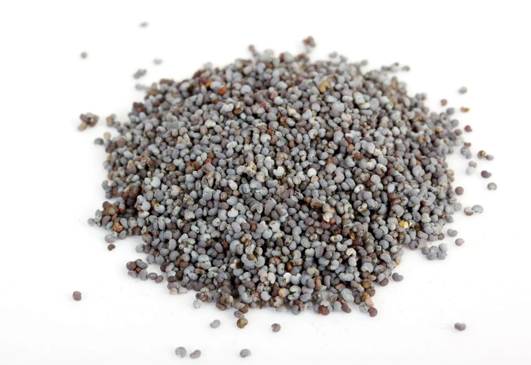 Poppy Seeds (Papaver Somniferum) on white background jpeg