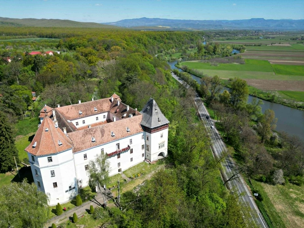 Castelul Kemeny din Brâncovenești  Foto Lucian Ignat  (2) jpg