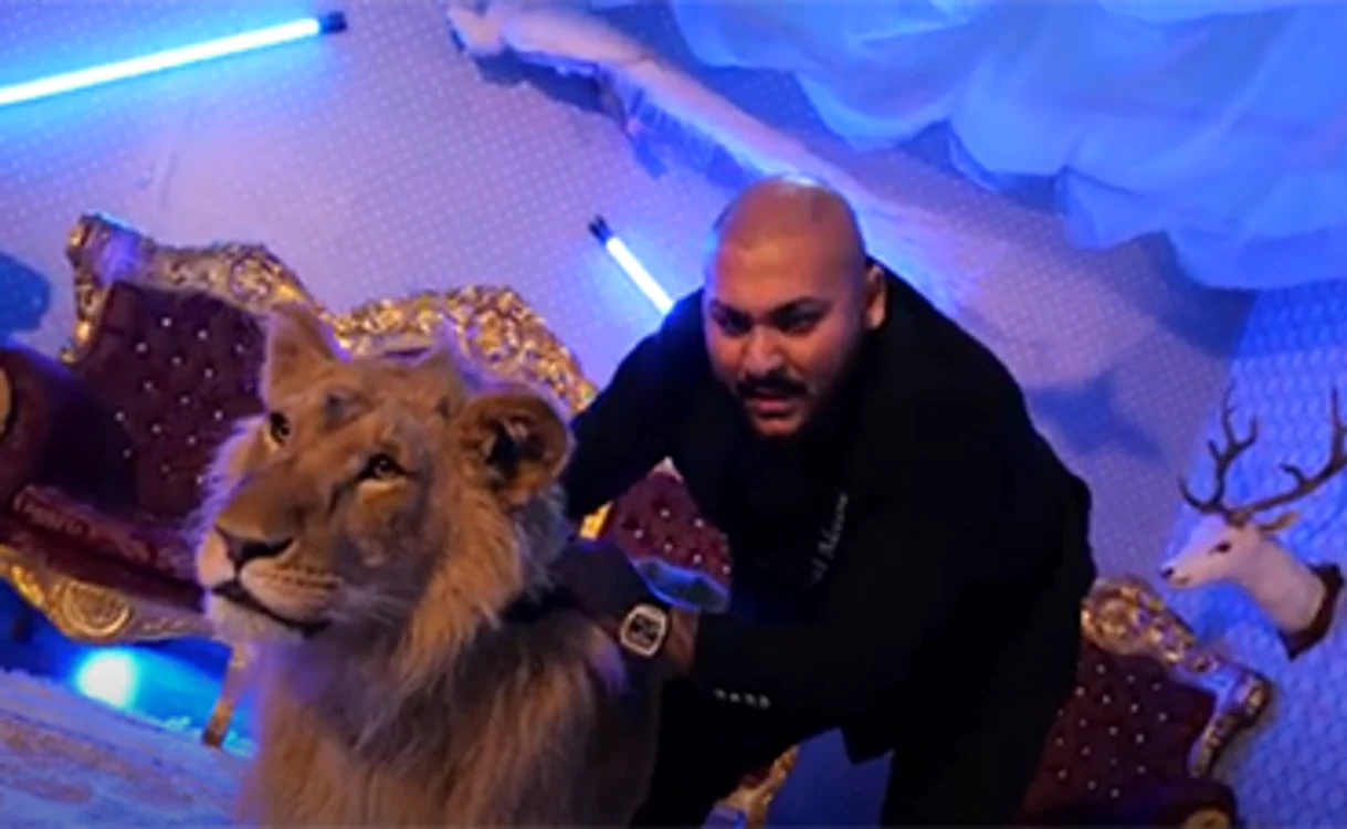 
    Animalul are o rană şi este subnutrit  