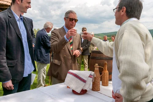 Charles în România. FOTO: Shutterstock