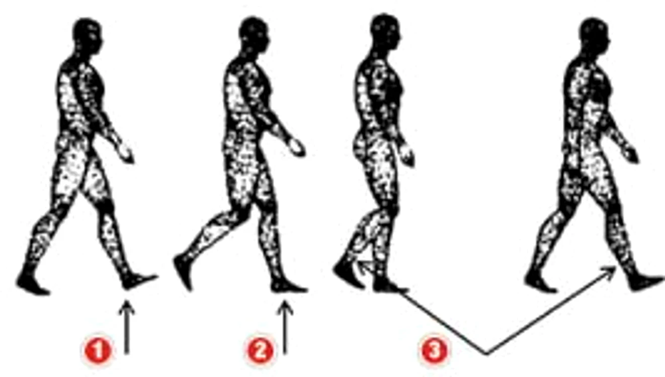 1. Impulsul generat când călcâiul loveşte solul 2. Forţa generată de greutatea persoanei 3. Impulsul generat de mişcarea picioarelor