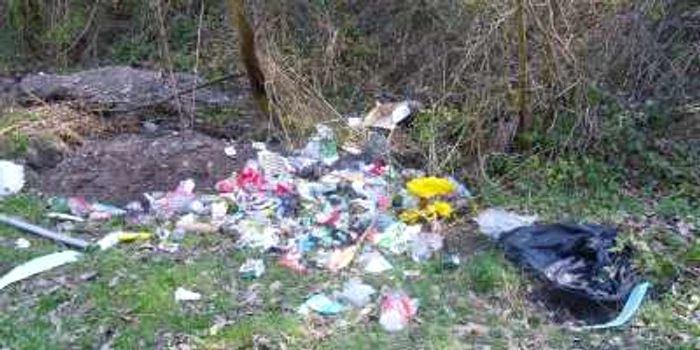 Anul trecut s-au adunat peste 20 de tone de gunoaie în acţiunea de igienizare FOTO Adevărul