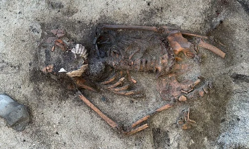 Femeia din epoca vikingilor a fost descoperită cu două scoici mari pe gură (© Ellen Grav/NTNU University Museum; CC BY-SA 4.0)