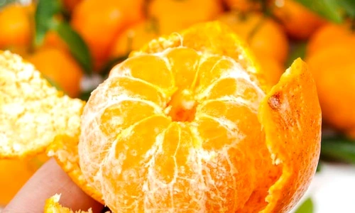 1 73251 original jpg jpeg