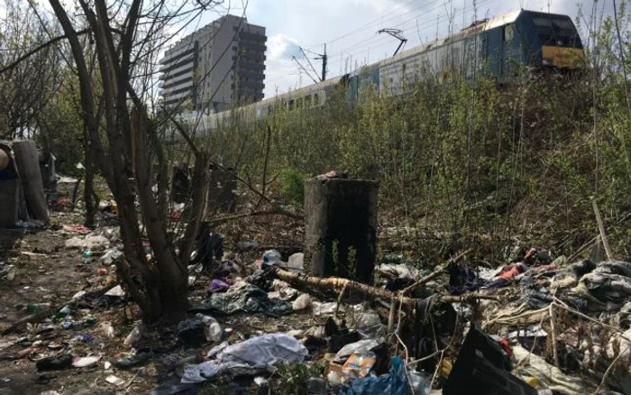 Fotografie realizată lângă Parcul Botanic, în apropierea unei clădiri de birouri FOTO Daniel Dancea