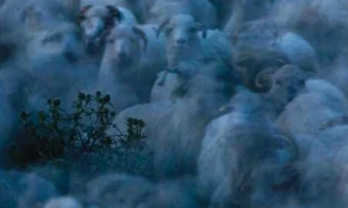 1 50971 original jpg jpeg