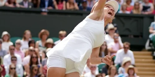Serena Williams Simona Halep în finală la Wimbledon 2019 FOTO EPA-EFE / Nic Bothma