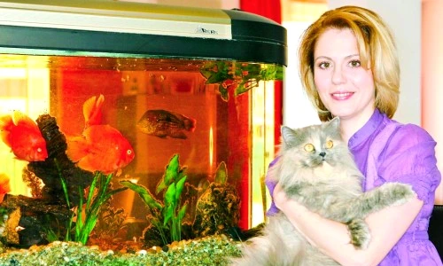 1 47652 original jpg jpeg