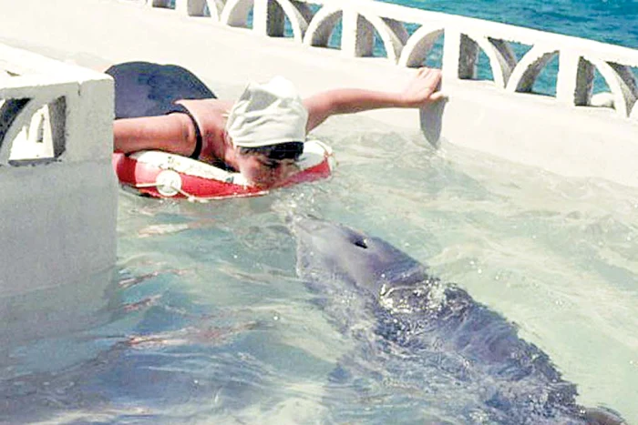 Margaret spune că  a avut raporturi  sexuale lungi cu  delfinul Peter