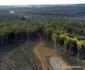 Autostrada Lugoj Deva, zona Holdea Margina Foto Daniel Guță ADEVĂRUL (10) JPG