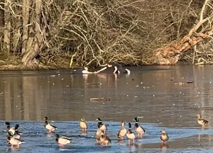 Momentul în care un bărbat încearcă să scoată din apă o altă persoană FOTO: captura video