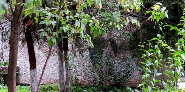 mozaicbr