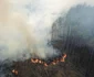 Incendiu Cernobîl FOTO EPA-EFE /  Yaroslav Yemelianenko