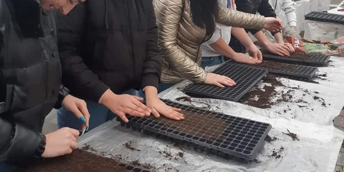 activitate sera scolii foto fb liceul tehnologic d petrescu jpg