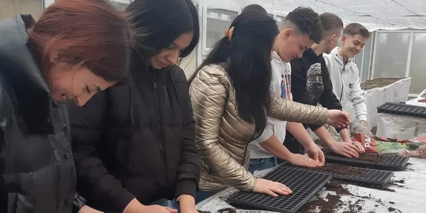 activitate sera scolii   foto fb liceul tehnologic d  petrescu jpg