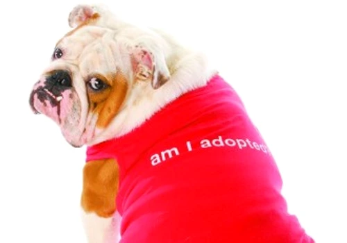 c3224b6d7a46f69358b7b3866ebe0b38 jpg jpeg