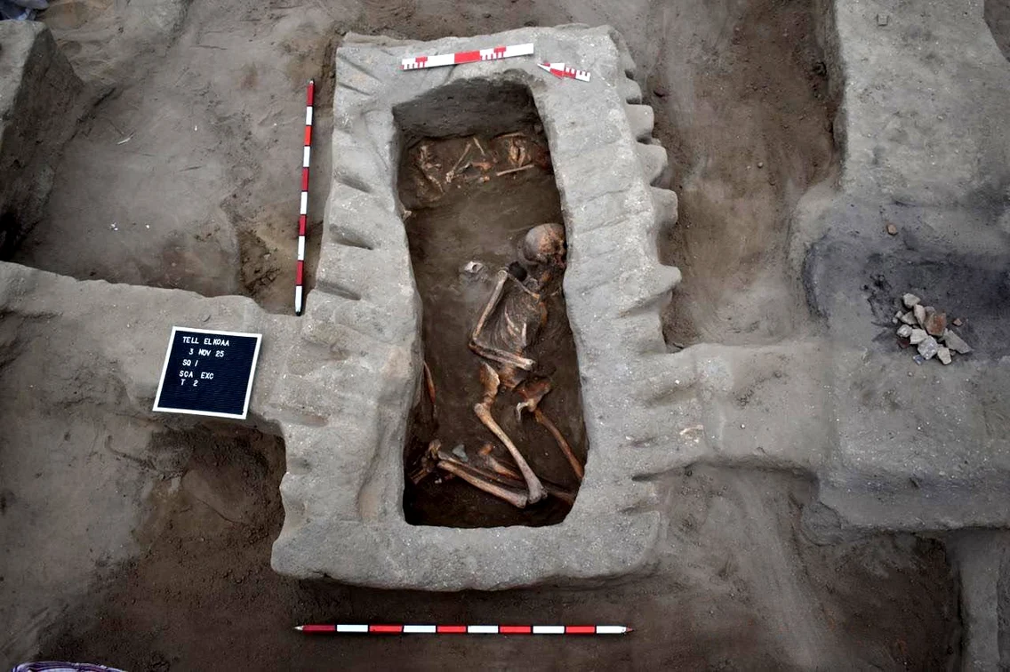 Descoperiri arheologice în Delta Nilului (© Ministry of Tourism and Antiquities)