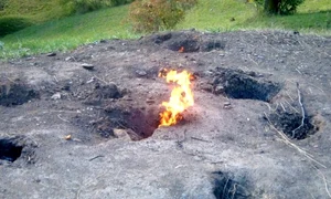 large poza 3924 1 jpeg