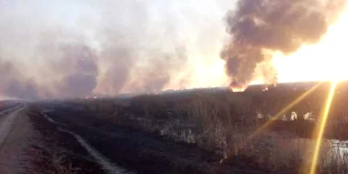 incendiu vegetatie 1