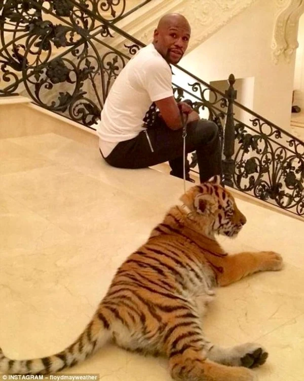 Floyd Mayweather şi "cadoul" său