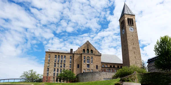 Universitatea Cornell din Ithaca, New York Foto Shutterstock