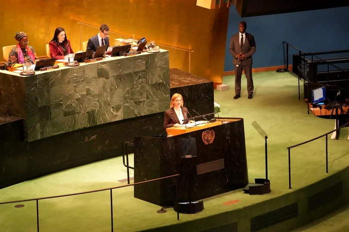 Doina Gherman a participat la sesiunea ONU. FOTO: Facebook.com/ Doina Gherman