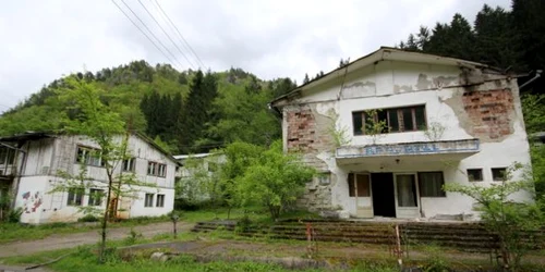 bradatel retezat foto daniel guta adevarul