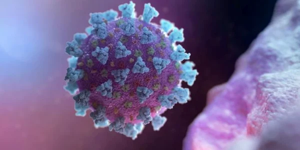 coronavirus