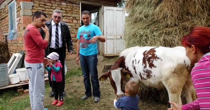 Juninca a fost donată familiei Ardelean