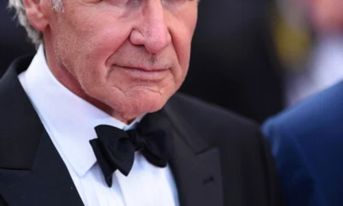 "The Expendables 3" Premiere   The 67th Annual Cannes Film Festival jpeg