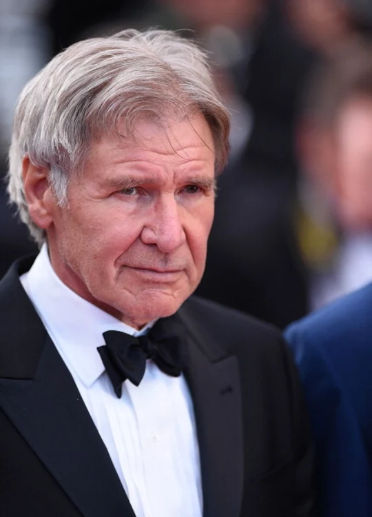 "The Expendables 3" Premiere   The 67th Annual Cannes Film Festival jpeg