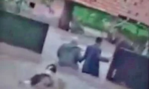 Animăluțul a înotat fără frică jpeg
