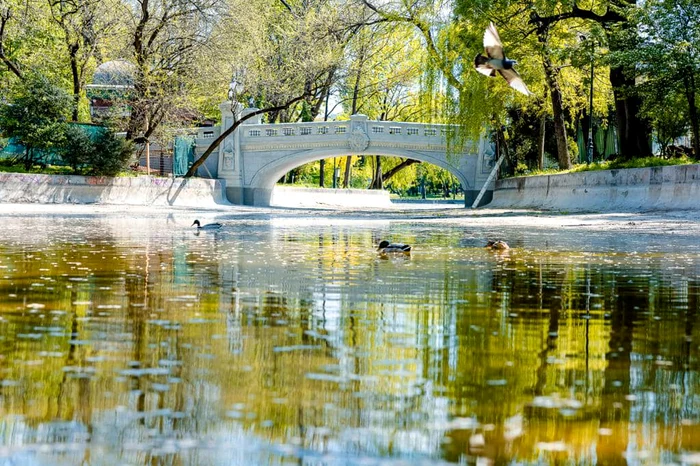 Podul Mare din Cișmigiu a fost reparat